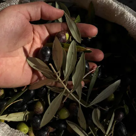 Vino Y Arte Del Sol Carraspite
