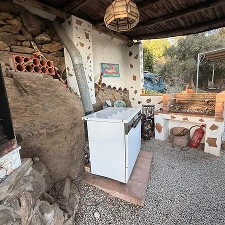 Vino Y Arte Del Sol